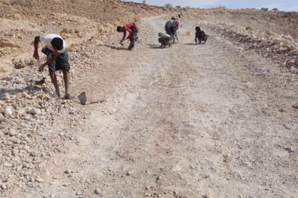 بجهود ذاتية شباب يباشرون إصلاح طريق يخدم عشرات القرى والمناطق