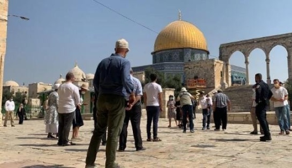 الأوقاف الفلسطينية 23 اقتحاما للمسجد الأقصى ومنع رفع الأذان في الحرم الإبراهيمي 74 وقتا الشهر الماضي الأوقاف الفلسطينية 23 اقتحاما للمسجد الأقصى ومنع رفع الأذان في الحرم الإبراهيمي 74 وقتا الشهر الماضي
