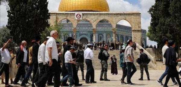 الأوقاف الفلسطينية 26 اقتحاما للأقصى ومنع رفع الأذان في الحرم الإبراهيمي 84 وقتا الشهر الماضي الأوقاف الفلسطينية 26 اقتحاما للأقصى ومنع رفع الأذان في الحرم الإبراهيمي 84 وقتا الشهر الماضي