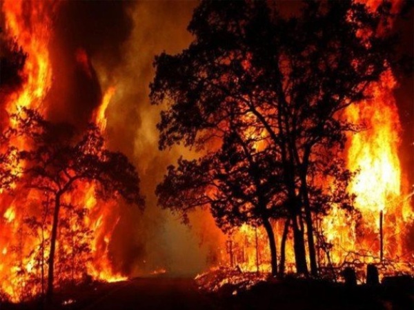 حرائق الغابات تجبر نحو 270 ألف شخص على الإجلاء في فرنسا وإسبانيا حرائق الغابات تجبر نحو 270 ألف شخص على الإجلاء في فرنسا وإسبانيا
