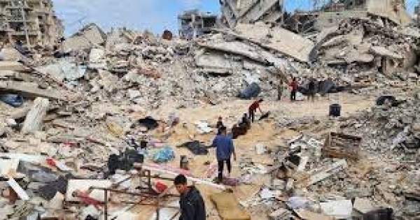الأمم المتحدة لم يتبق في غزة من الأراضي الزراعية السليمة والمتاحة للمزارعين سوى 3 فقط الأمم المتحدة لم يتبق في غزة من الأراضي الزراعية السليمة والمتاحة للمزارعين سوى 3 فقط