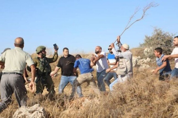مستوطنون يقتحمون أراضي غرب الخليل وقوات الاحتلال تعتقل فلسطيني ا من أبو ديس مستوطنون يقتحمون أراضي غرب الخليل وقوات الاحتلال تعتقل فلسطيني ا من أبو ديس