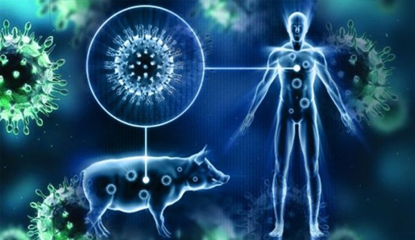 أول إصابة بشرية بـ إنفلونزا الخنازير h1n2v في الصين هل يتحول الفيروس إلى وباء أول إصابة بشرية بـ إنفلونزا الخنازير h1n2v في الصين هل يتحول الفيروس إلى وباء