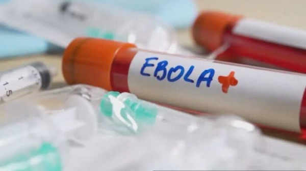 الصحة العالمية تجارب على 3 لقاحات و3 أدوية لـ إيبولا وإصابة 5000 بالفيروس الصحة العالمية تجارب على 3 لقاحات و3 أدوية لـ إيبولا وإصابة 5000 بالفيروس