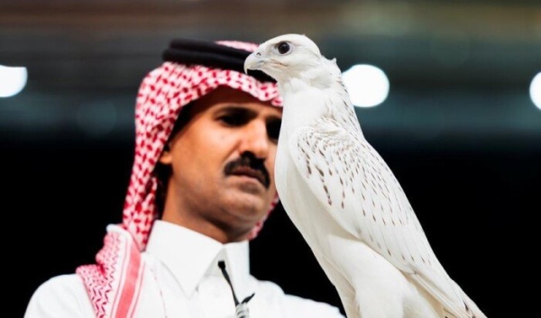 صقر كندي يحصد 1 3 مليون ريال في مزاد دولي بالسعودية ما قصته صقر كندي يحصد 1 3 مليون ريال في مزاد دولي بالسعودية ما قصته