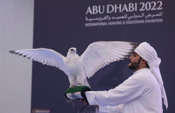 صقر أبيض نادر يحطم الأرقام القياسية بعد بيعه في معرض أبوظبي الدولي للصيد صقر أبيض نادر يحطم الأرقام القياسية بعد بيعه في معرض أبوظبي الدولي للصيد