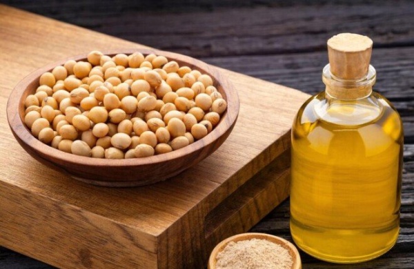 دراسة تثير الجدل هل يرتبط زيت الصويا بزيادة خطر سرطان المثانة دراسة تثير الجدل هل يرتبط زيت الصويا بزيادة خطر سرطان المثانة