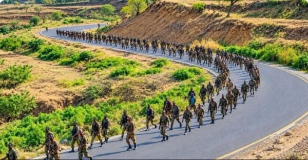 مقاتلو تيغراي في السودان هل تتحول الحرب إلى صراع إقليمي