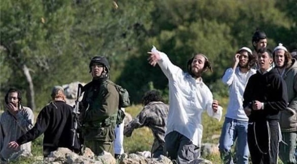 مستوط نون يعتدون بالضرب على فلسطينية قرب سلفيت مستوط نون يعتدون بالضرب على فلسطينية قرب سلفيت