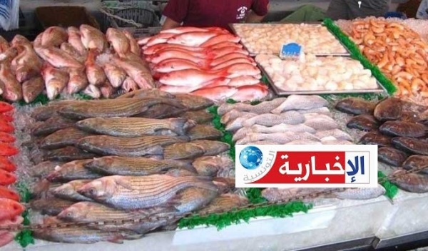 الميزان التجاري لمنتجات الصيد البحري يسجل فائضا