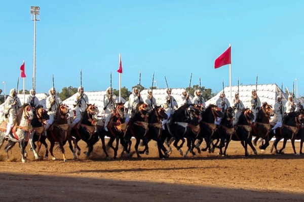 طلقات البارود تدوي بالجديدة وجائزة محمد السادس ترتقي بالتبوريدة طلقات البارود تدوي بالجديدة وجائزة محمد السادس ترتقي بالتبوريدة