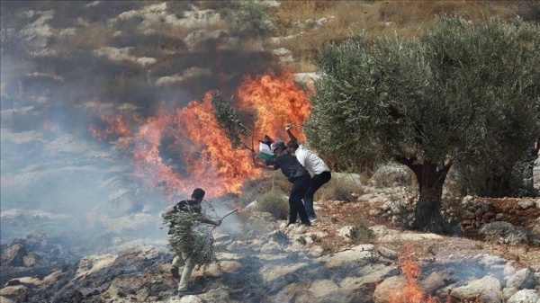العدو الصهيوني يستولي على 464 دونما من الأراضي الفلسطينية في الضفة