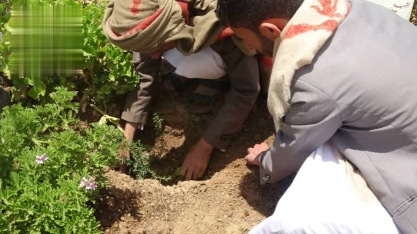 تدشن توزيع 6 آلاف شتلة مانوكا لدعم قطاع النحل في القطاع الغربي بصنعاء تدشن توزيع 6 آلاف شتلة مانوكا لدعم قطاع النحل في القطاع الغربي بصنعاء