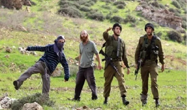 مستوطنون صهاينة يعتدون على ممتلكات الفلسطينيين في الضفة مستوطنون صهاينة يعتدون على ممتلكات الفلسطينيين في الضفة