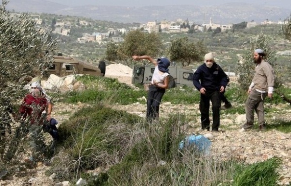 إصابة 5 فلسطينيين في هجومين لمستوطنين صهاينة بالضفة الغربية إصابة 5 فلسطينيين في هجومين لمستوطنين صهاينة بالضفة الغربية