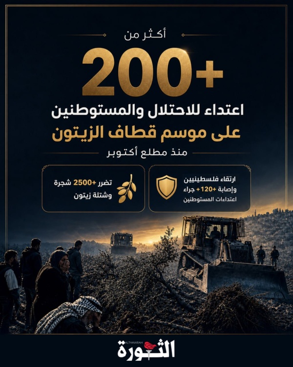 أكثر من 200 اعتداء للاحتلال والمستوطنين على موسم قطاف الزيتون منذ مطلع أكتوبر أكثر من 200 اعتداء للاحتلال والمستوطنين على موسم قطاف الزيتون منذ مطلع أكتوبر