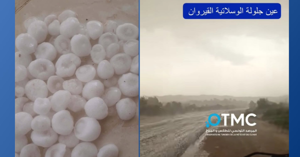 القيروان نزول التبروري بجحم كبير في عين جلولة و أحوازها القيروان نزول التبروري بجحم كبير في عين جلولة و أحوازها