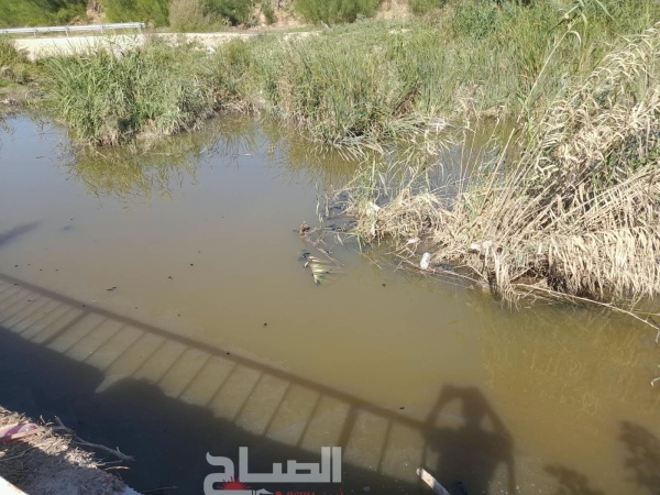 أكودة مياه الصرف الصحي تزيد في معاناة ساكني شط الرم ان أكودة مياه الصرف الصحي تزيد في معاناة ساكني شط الرم ان