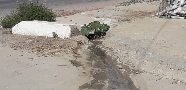 برج العامري منوبة المطالبة بربط بئر الطويل بشبكة التطهير