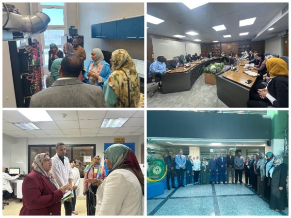 شراكة سودانية مصرية لتكامل الرقابة الفنية وضمان جودة سلع إعادة الإعمار شراكة سودانية مصرية لتكامل الرقابة الفنية وضمان جودة سلع إعادة الإعمار