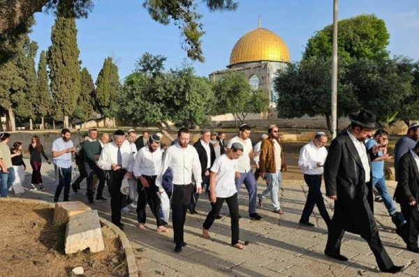 109 مستوطنين يقتحمون المسجد الأقصى ويؤدون طقوس ا وصلوات تلمودية