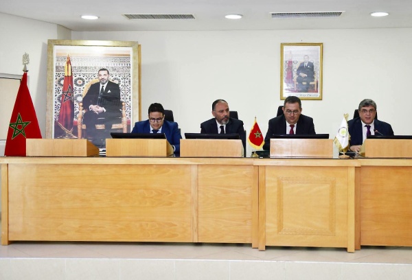 المغرب يعزز ريادته القارية في تطوير الفلاحة المستدامة والأمن الغذائي بإفريقيا المغرب يعزز ريادته القارية في تطوير الفلاحة المستدامة والأمن الغذائي بإفريقيا
