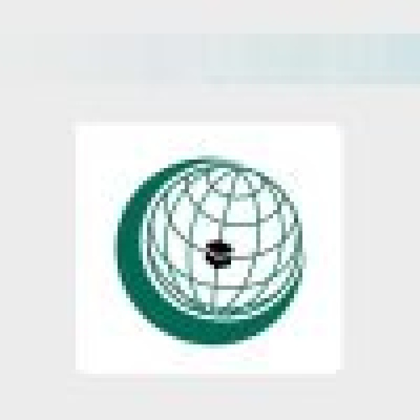 التعاون الإسلامي تدين الهجوم الإرهابي على حاجز أمني في باكستان التعاون الإسلامي تدين الهجوم الإرهابي على حاجز أمني في باكستان