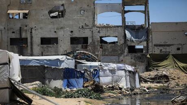 فاينانشال تايمز قطاع غزة يتعرض لغزو القوارض بسبب جثث القتلى تحت الأنقاض فاينانشال تايمز قطاع غزة يتعرض لغزو القوارض بسبب جثث القتلى تحت الأنقاض
