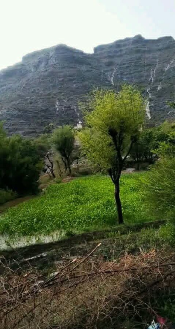 الأرصاد اليمني يحذر من أمطار رعدية وبرد على 5 محافظات خلال الساعات المقبلة
