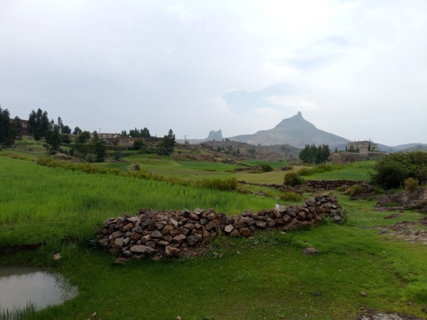 الأرصاد اليمني يحذر من أمطار رعدية وسيول في عدة محافظات الأرصاد اليمني يحذر من أمطار رعدية وسيول في عدة محافظات