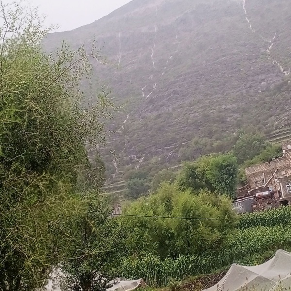 الأرصاد اليمني يحذر من أمطار رعدية متفاوتة الشدة في 12 محافظة