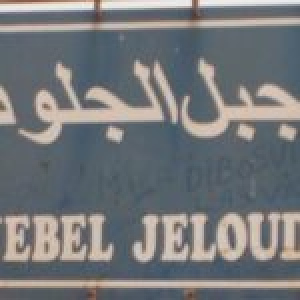 جملة من التدخلات والمشاريع في جبل الجلود والوردية جملة من التدخلات والمشاريع في جبل الجلود والوردية