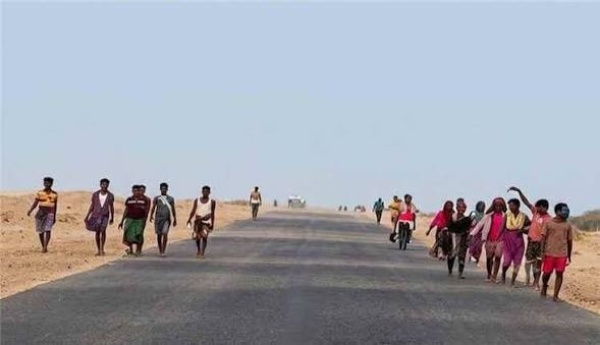 الهجرة الدولية وصول نحو 12 ألف مهاجر أفريقي إلى اليمن خلال سبتمبر الهجرة الدولية وصول نحو 12 ألف مهاجر أفريقي إلى اليمن خلال سبتمبر