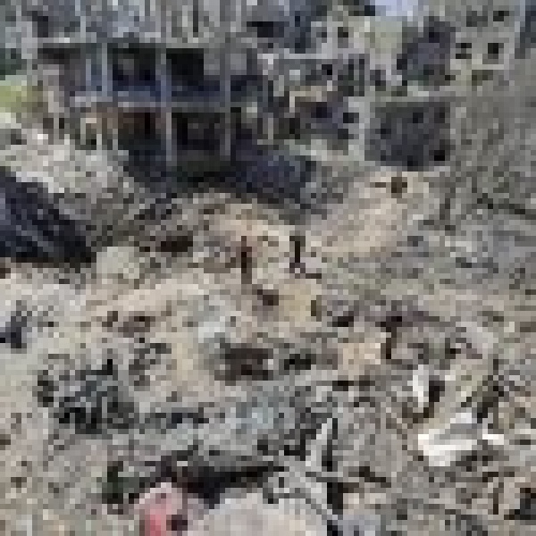 ارتفاع عدد الشهداء الفلسطينيين في العدوان الإسرائيلي على قطاع غزة إلى 73 419 شهيد ا