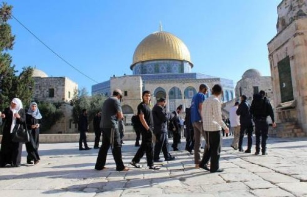 125 مستوطنا يقتحمون المسجد الأقصى 125 مستوطنا يقتحمون المسجد الأقصى