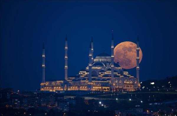 الحلول القرآنية لمشكلات الحضارة المعاصرة إسطنبول تستضيف ندوة دولية