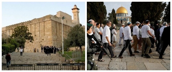 مركز حقوقي فلسطيني 9650 مستوطن ا اقتحموا الأقصى في يوليو مركز حقوقي فلسطيني 9650 مستوطن ا اقتحموا الأقصى في يوليو