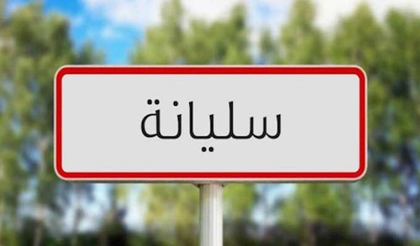 سليانة مسح 700 كم من حواشي الطرقات و50 كم من المسالك الريفية المعبدة سليانة مسح 700 كم من حواشي الطرقات و50 كم من المسالك الريفية المعبدة