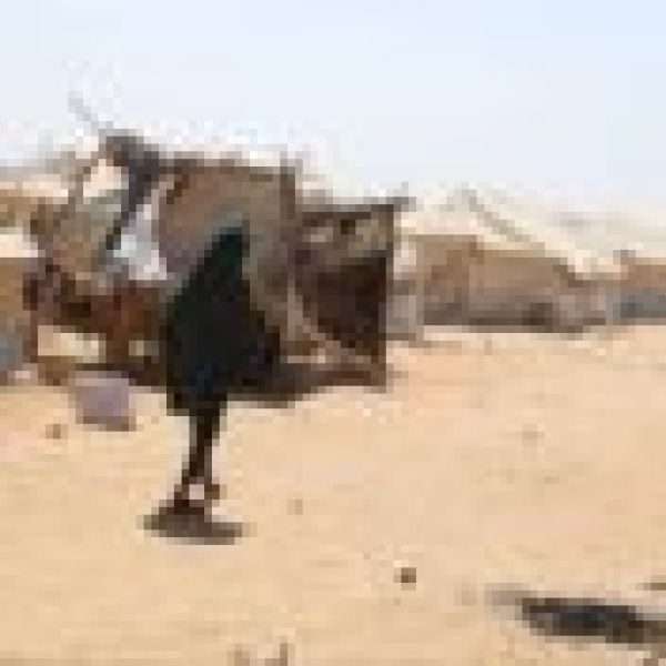 هجمات الدعم السريع غربي الأبيض تخلف قتلى وموجة نزوح جديدة