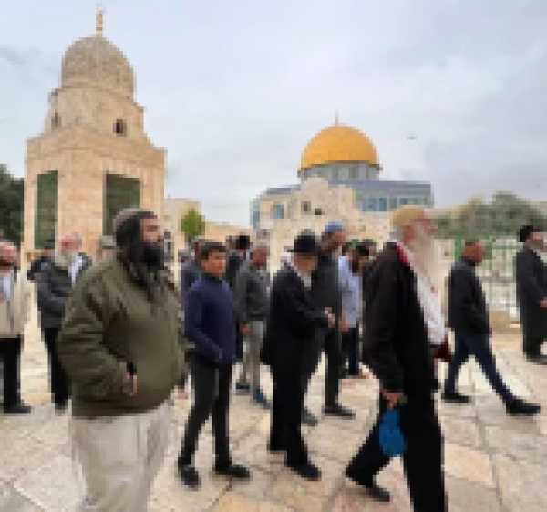 اقتحامات واسعة للأقصى في سادس أيام عيد العرش اليهودي اقتحامات واسعة للأقصى في سادس أيام عيد العرش اليهودي