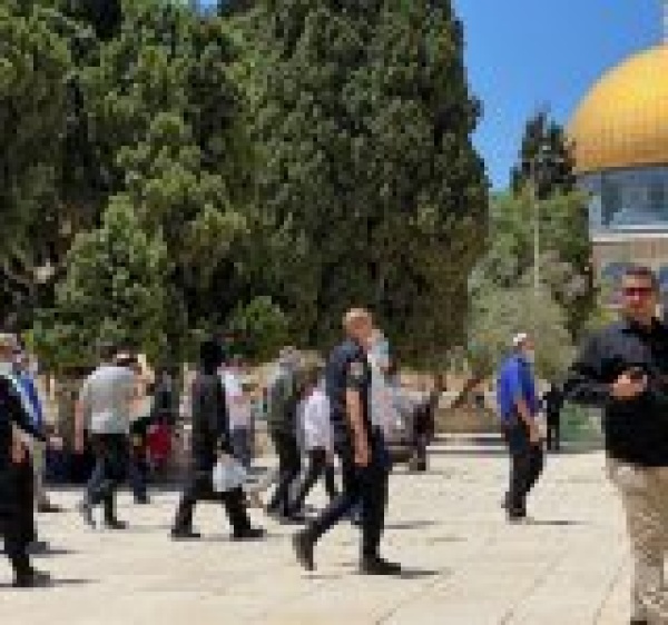 عشرات المغتصبين يقتحمون الأقصى ويؤدون طقوس يهودية بحماية قوات العدو عشرات المغتصبين يقتحمون الأقصى ويؤدون طقوس يهودية بحماية قوات العدو