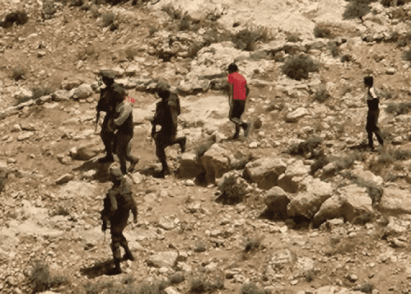 الخليل مستوطنون يهاجمون خربة ادقيقة والاحتلال يعتقل 3 مواطنين الخليل مستوطنون يهاجمون خربة ادقيقة والاحتلال يعتقل 3 مواطنين
