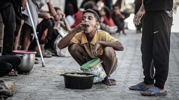 الصحة العالمية سوء التغذية لا يزال يمثل مشكلة صحية خطيرة في غزة الصحة العالمية سوء التغذية لا يزال يمثل مشكلة صحية خطيرة في غزة