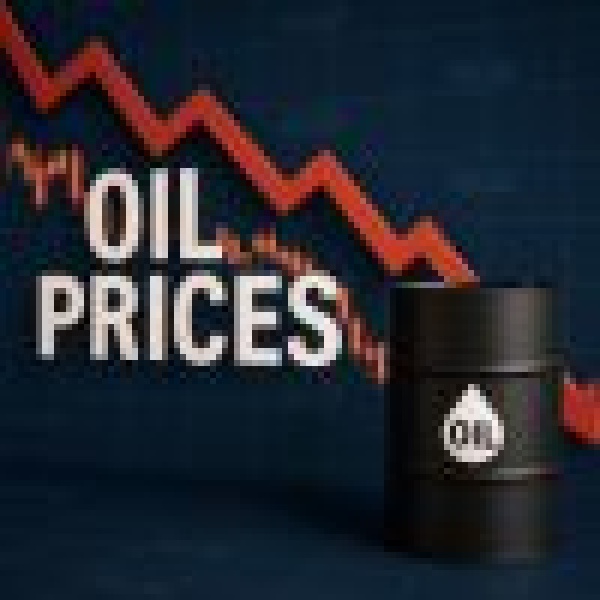 تراجع النفط 4 3 إلى 73 74 دولار ا للبرميل