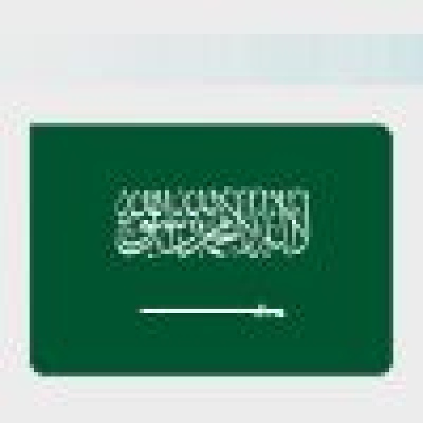 المملكة تؤكد المسؤولية المشتركة على عاتق جميع الأطراف لحماية الأطفال في النزاعات