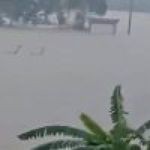 إثر فيضانات عارمة ضربتها مؤخر ا الثعابين السامة تغزو شوارع مدينة هنغتشو الصينية وتزيد معاناة السكان