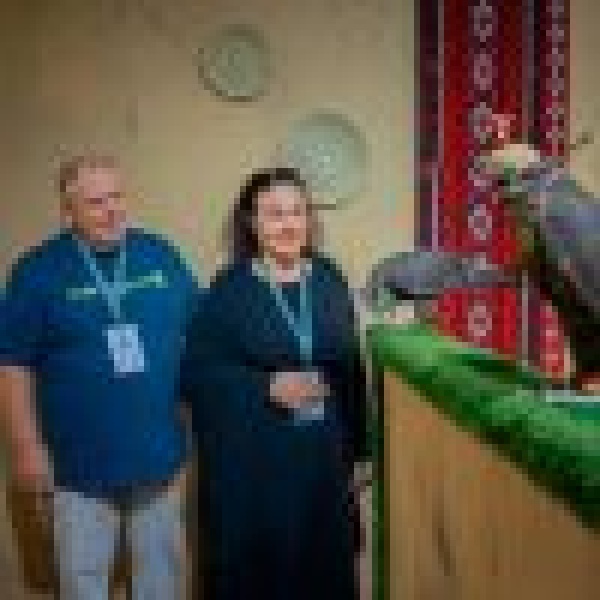 أسرة إسكتلندية تحول شغفها بالصقور إلى مشروع عائلي في المزاد الدولي أسرة إسكتلندية تحول شغفها بالصقور إلى مشروع عائلي في المزاد الدولي