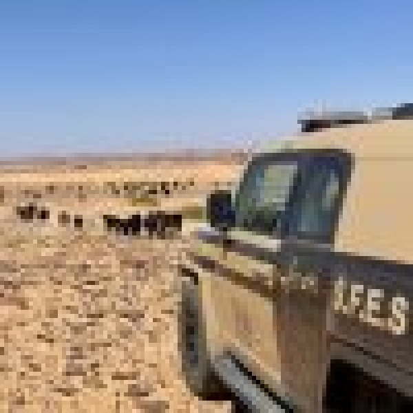 القبض على شخصين لمخالفتهما الأنظمة البيئية بالمملكة القبض على شخصين لمخالفتهما الأنظمة البيئية بالمملكة