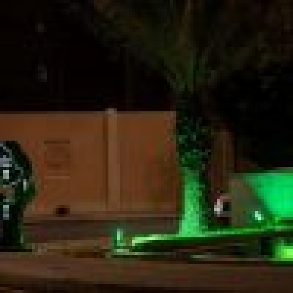 الأخضر يكسو ميادين ومعالم الطائف احتفال ا باليوم الوطني