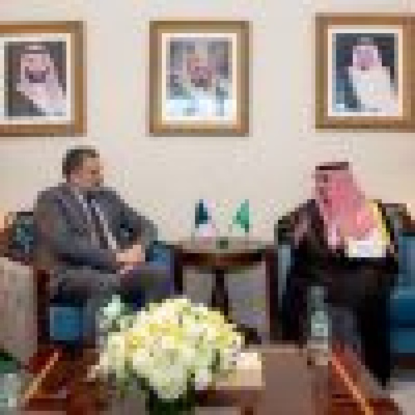 وزير الدولة للشؤون الخارجية يلتقي وزير خارجية البوسنة والهرسك